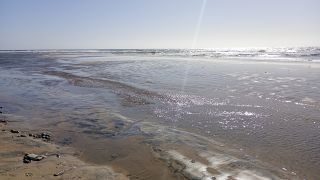 GC-Playa de Maspalomas 2026-111.jpg